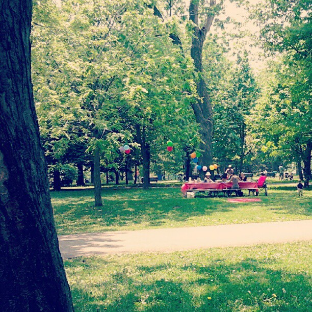 #montreal #summer #picknick