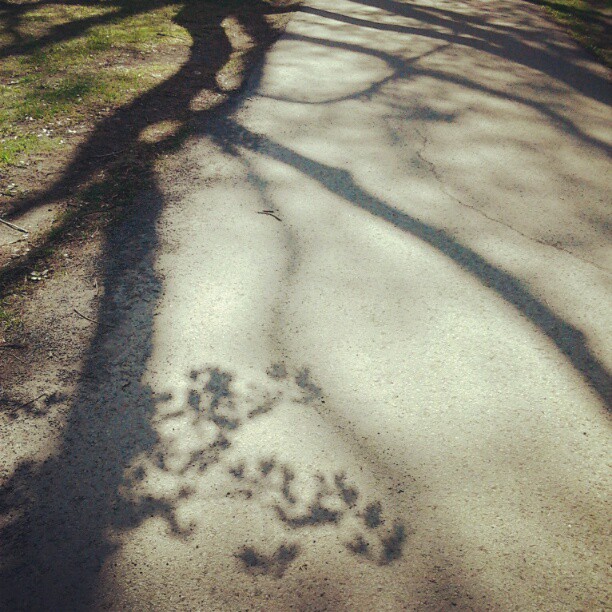 Tavasz tavasz mar ket teljes honapja - Still spring!